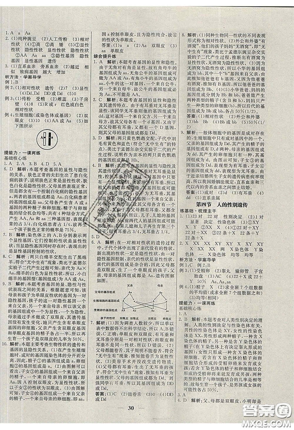 云南科技出版社2020年名校學(xué)案高效課時(shí)練八年級(jí)生物下冊(cè)人教版答案