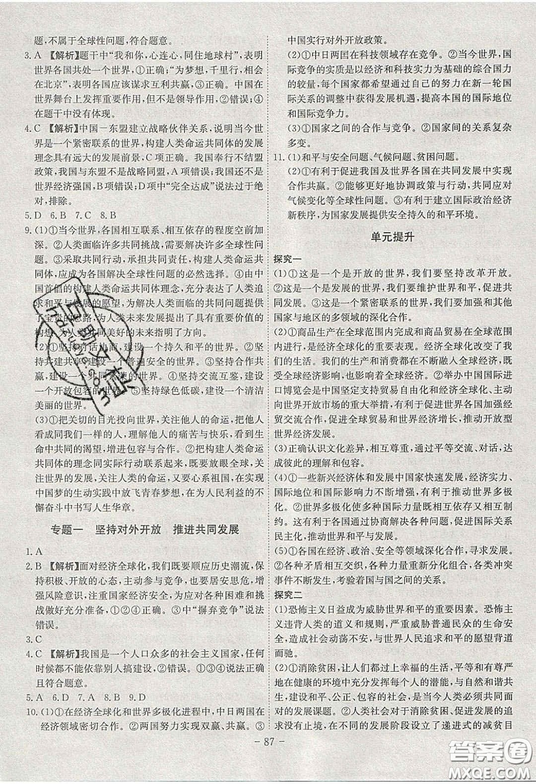 2020課時(shí)A計(jì)劃九年級(jí)道德與法治下冊(cè)人教版答案