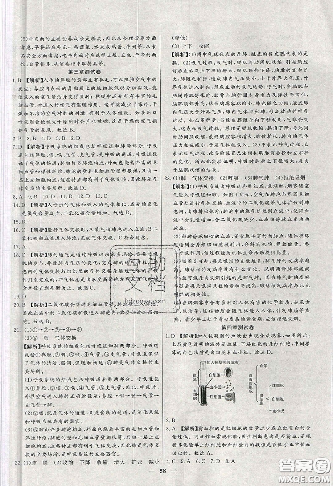 2020年春高分計劃中考版創(chuàng)新作業(yè)七年級生物下冊人教版答案