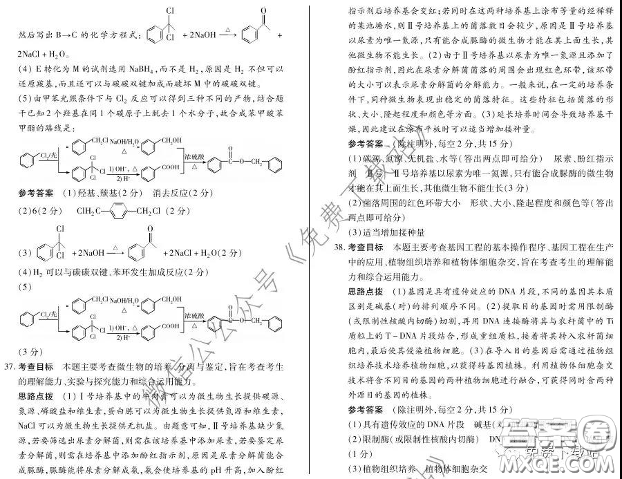 2020年天一大聯(lián)考高考全真模擬卷五理科綜合試題及答案