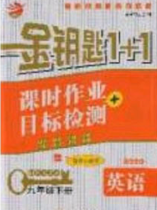 2020金鑰匙1加1課時(shí)作業(yè)加目標(biāo)檢測(cè)九年級(jí)英語下冊(cè)江蘇版答案