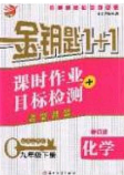 2020金鑰匙1加1課時作業(yè)加目標檢測九年級化學(xué)下冊全國版答案