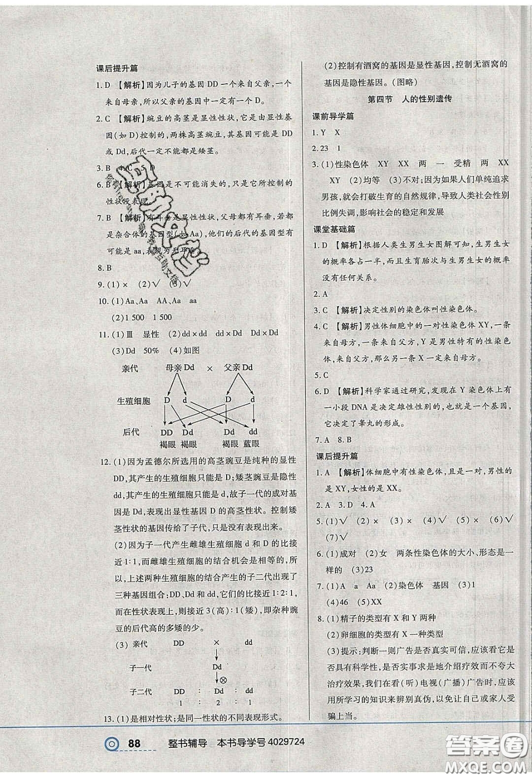 2020年中考123全程導(dǎo)練八年級生物學(xué)下冊人教版答案