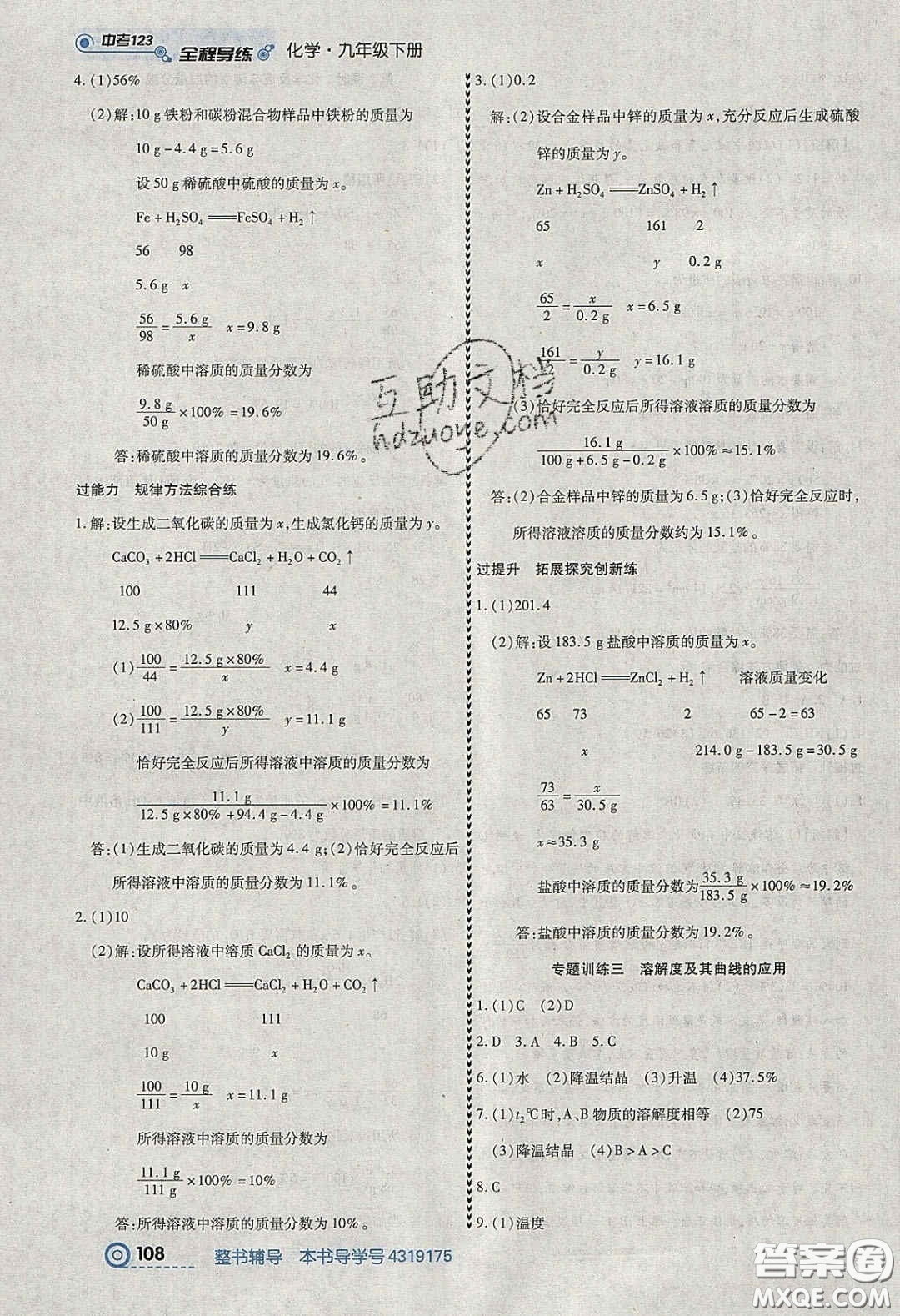 2020年中考123全程導(dǎo)練九年級化學(xué)下冊人教版答案