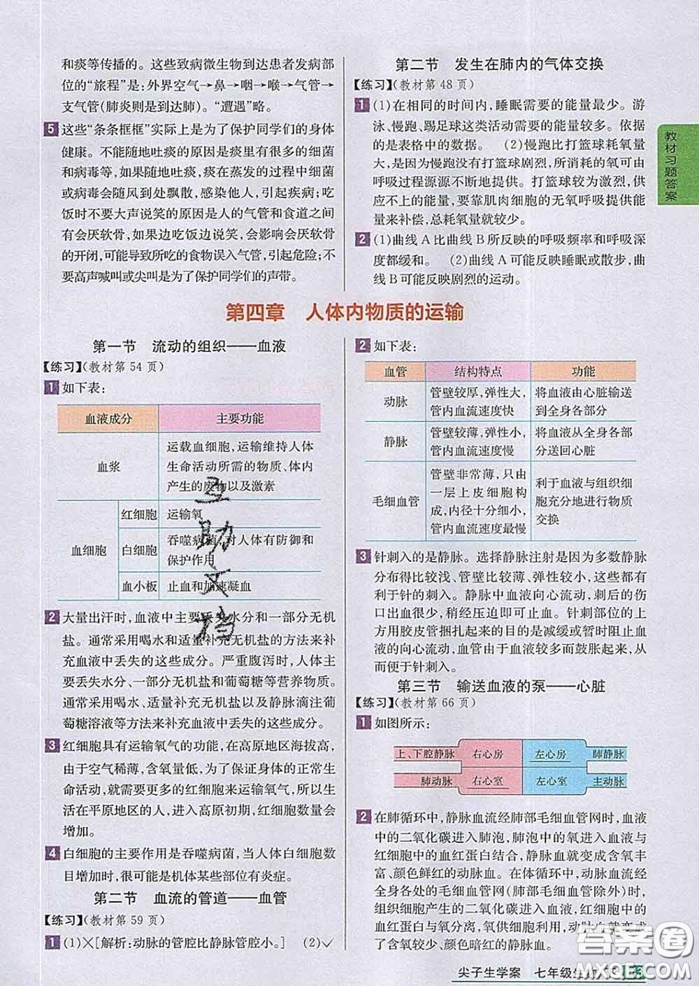 吉林人民出版社2020春尖子生學(xué)案七年級生物下冊人教版答案