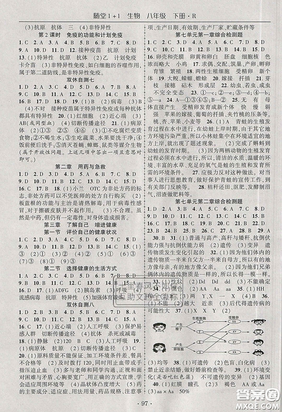 海韻圖書2020年春隨堂1+1導(dǎo)練八年級(jí)生物下冊(cè)人教版答案