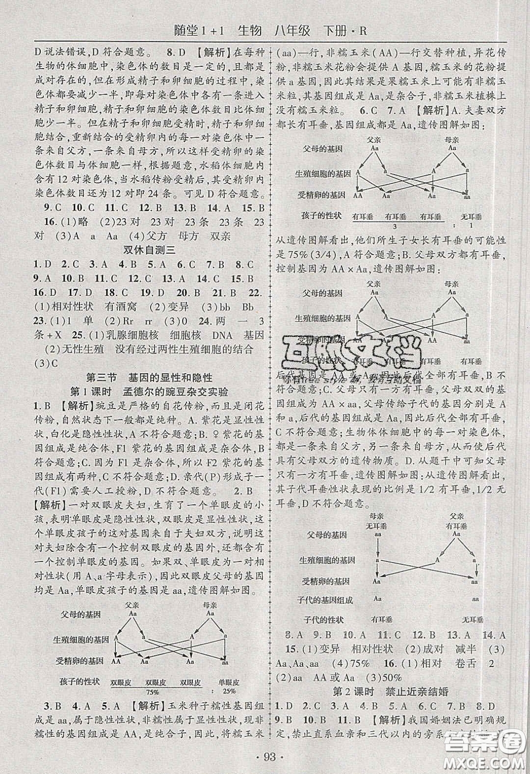 海韻圖書2020年春隨堂1+1導(dǎo)練八年級(jí)生物下冊(cè)人教版答案