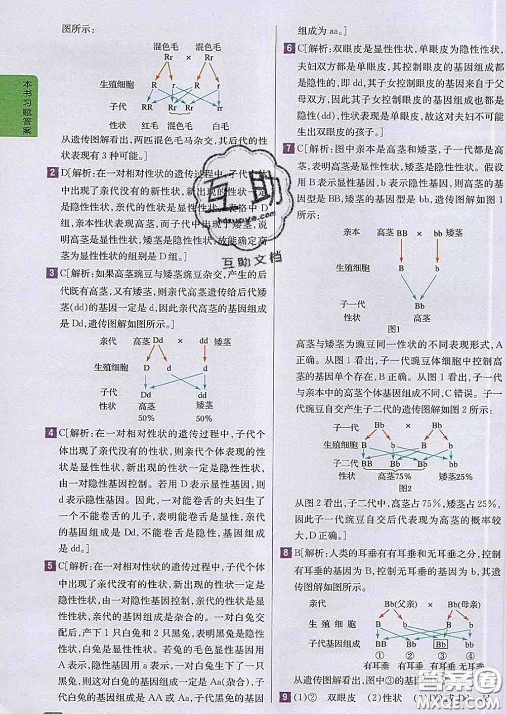 吉林人民出版社2020春尖子生學(xué)案八年級生物下冊人教版答案