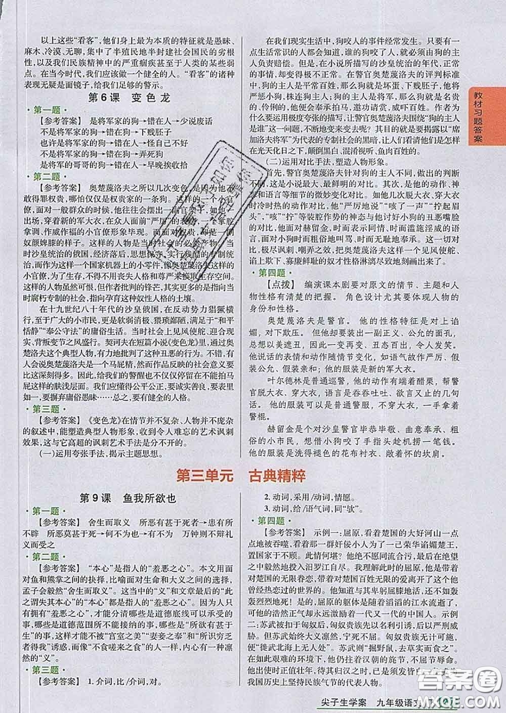 吉林人民出版社2020春尖子生學(xué)案九年級語文下冊人教版答案