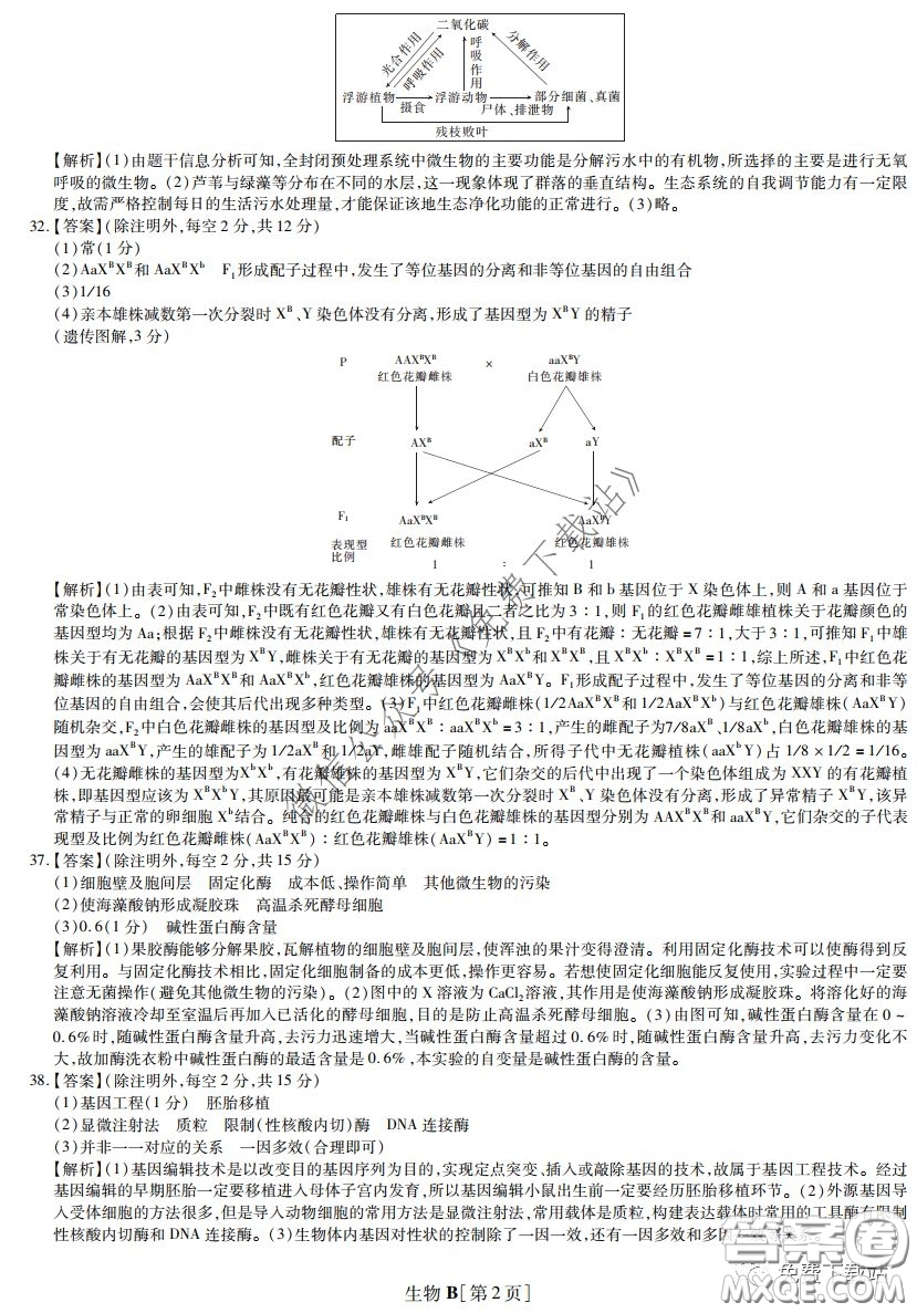 2020年名校學(xué)術(shù)聯(lián)盟高考模擬信息卷押題卷生物答案