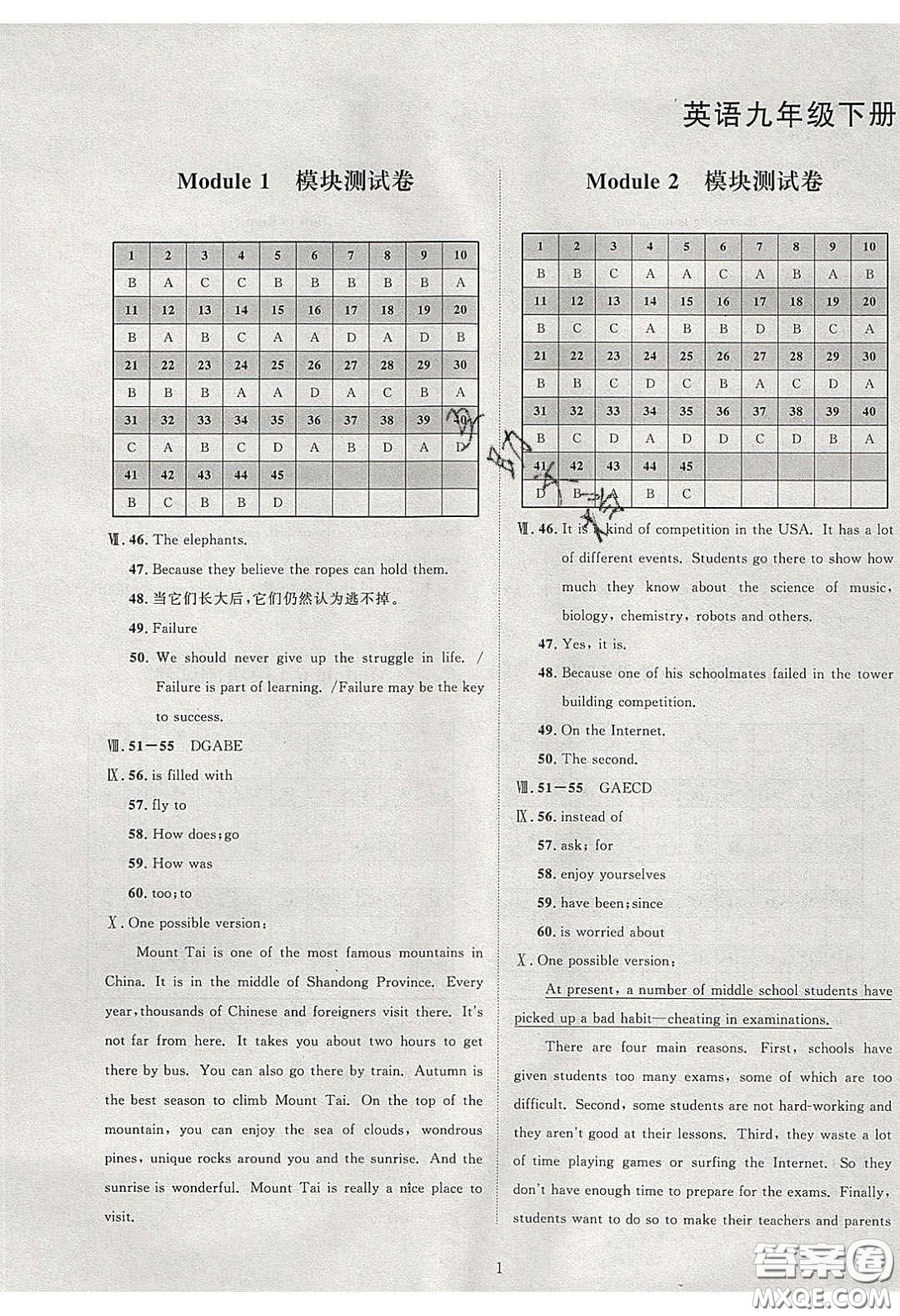 2020學(xué)透初中同步練習(xí)九年級英語下冊外研版答案