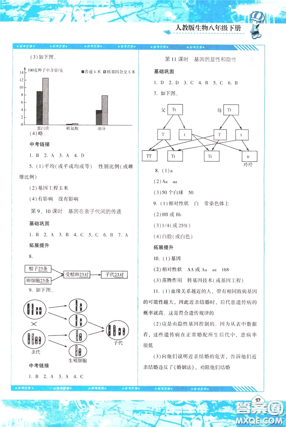 2020年課程基礎(chǔ)訓(xùn)練生物八年級(jí)下冊(cè)人教版參考答案