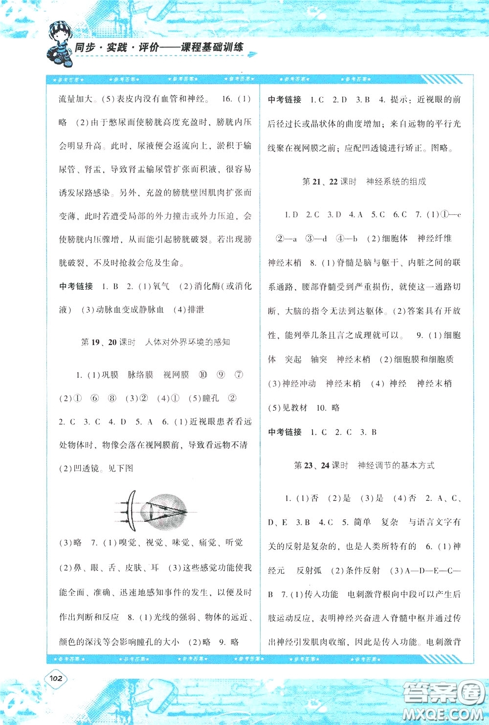 2020年課程基礎(chǔ)訓(xùn)練生物七年級(jí)下冊(cè)人教版參考答案