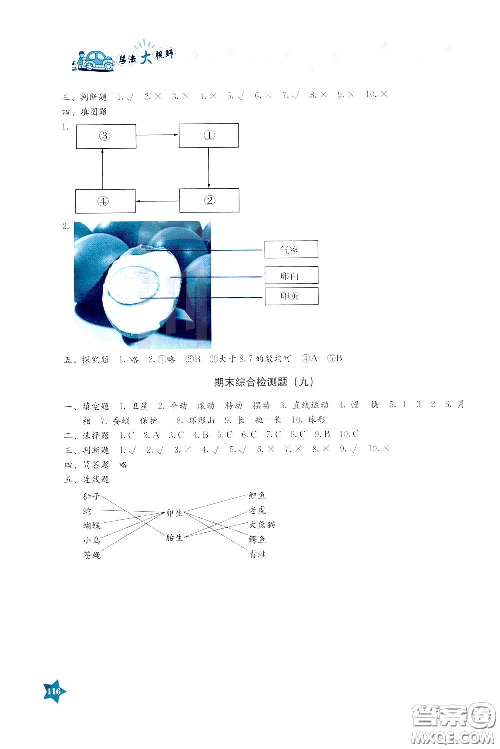 湖南教育出版社2020年學(xué)法大視野科學(xué)三年級下冊教科版參考答案