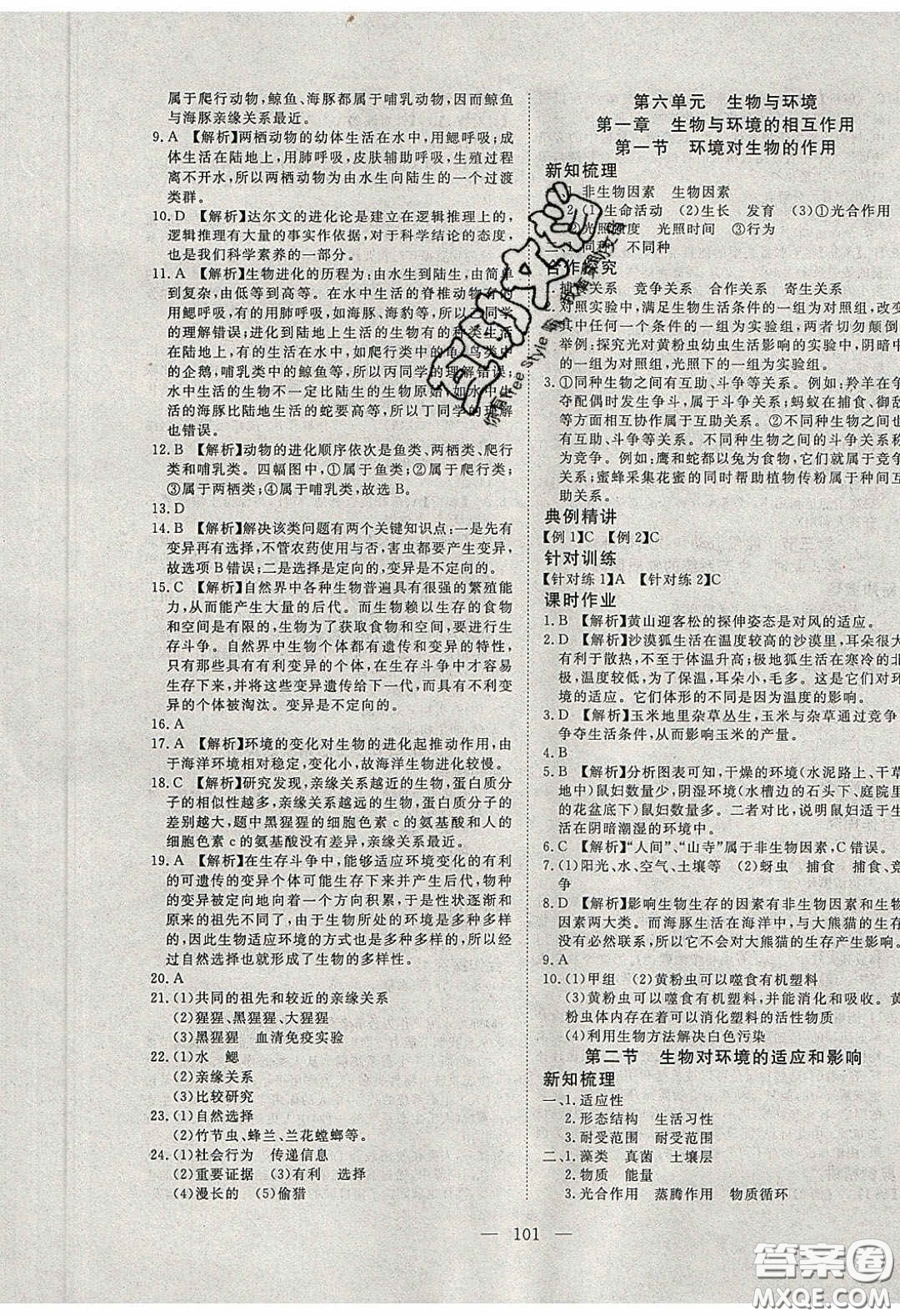 2020年351高效課堂導(dǎo)學(xué)案八年級生物下冊濟(jì)南版答案