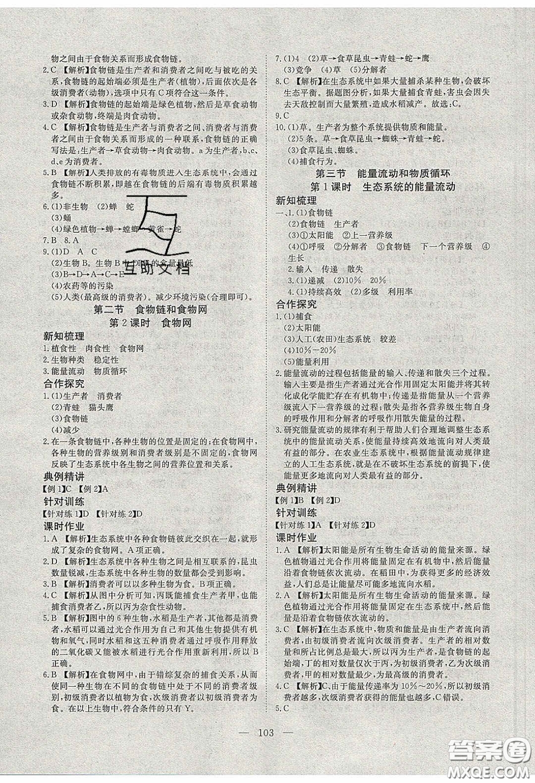 2020年351高效課堂導(dǎo)學(xué)案八年級生物下冊濟(jì)南版答案