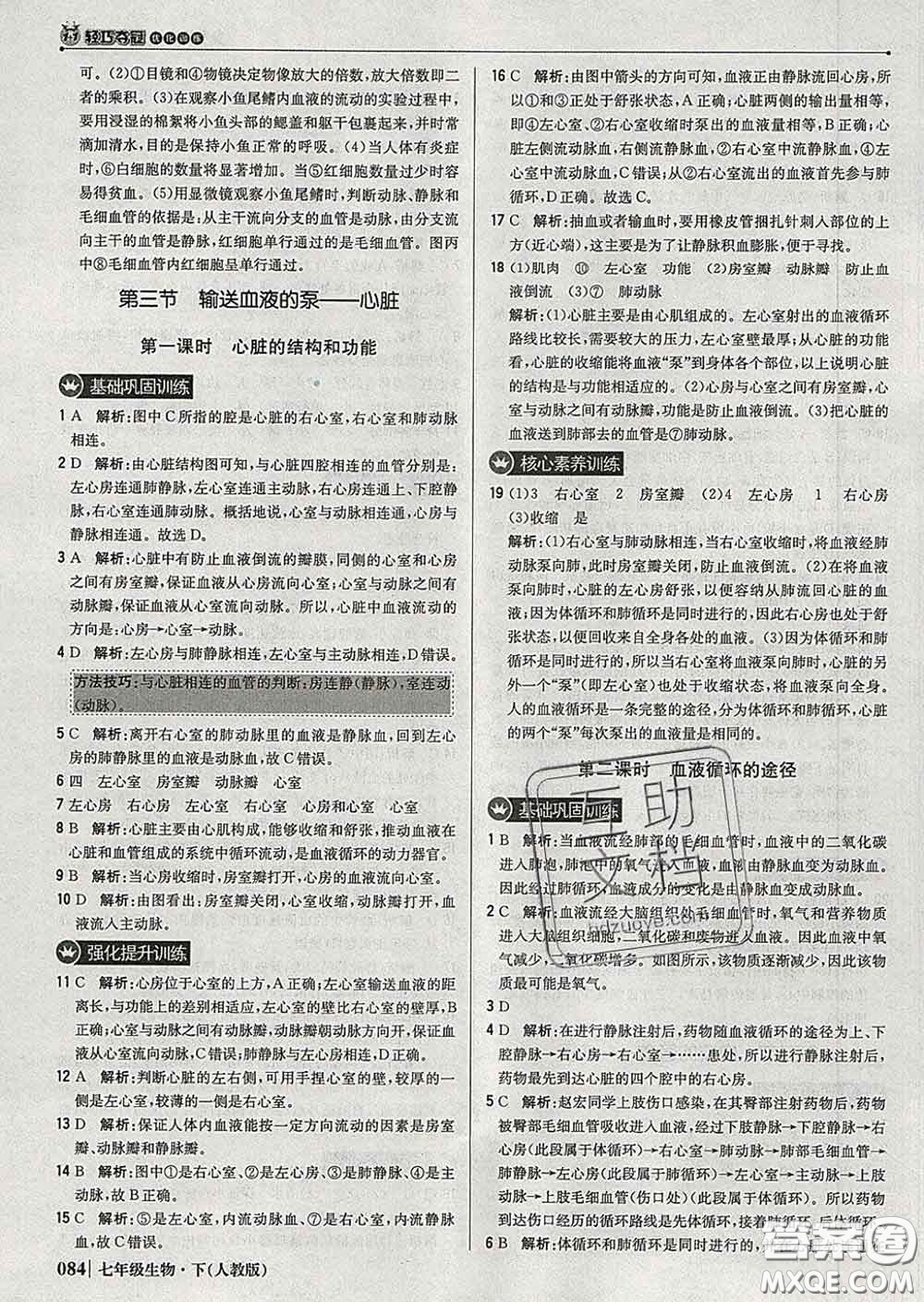 2020新版1加1輕巧奪冠優(yōu)化訓(xùn)練七年級生物下冊人教版答案