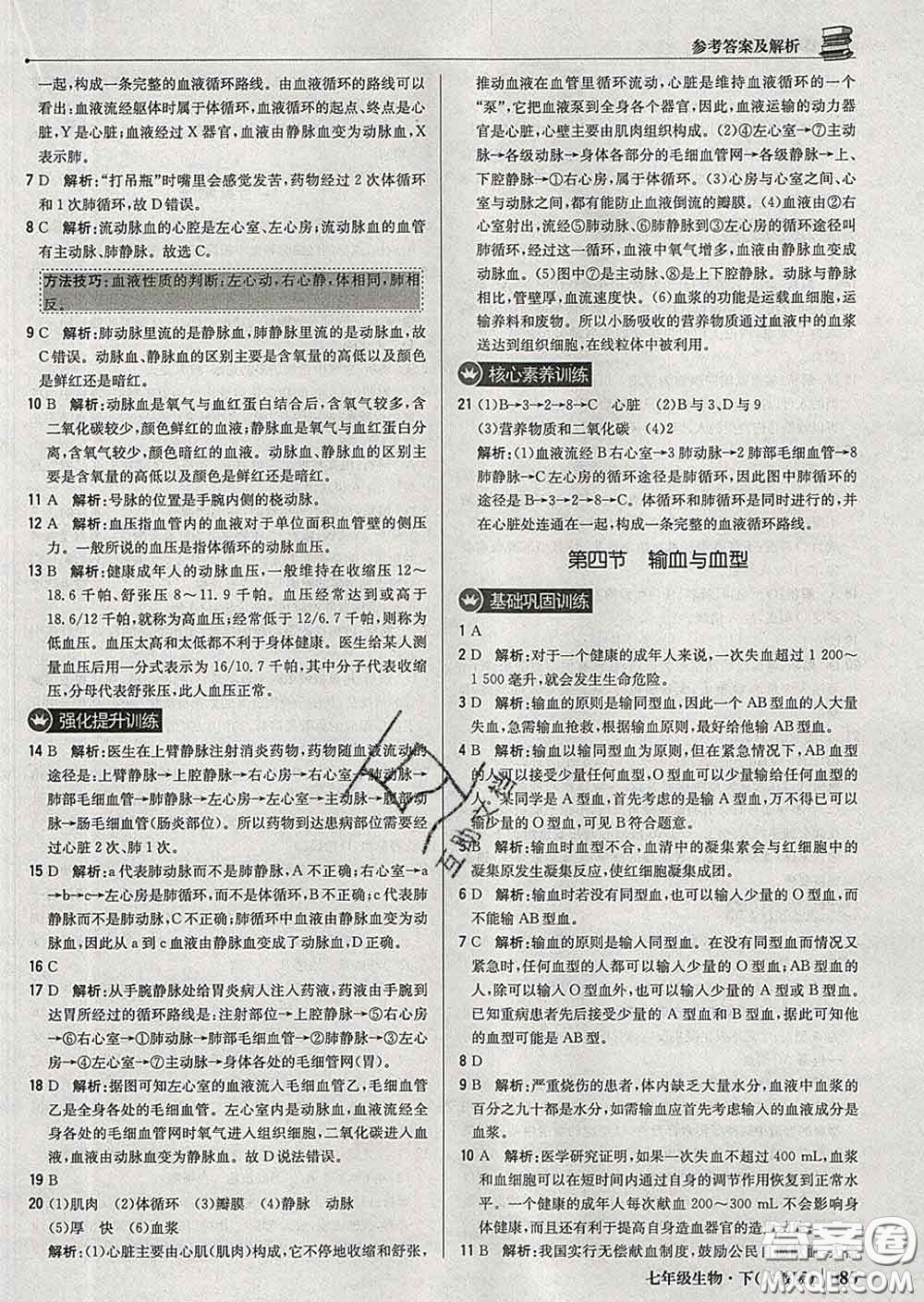 2020新版1加1輕巧奪冠優(yōu)化訓(xùn)練七年級生物下冊人教版答案