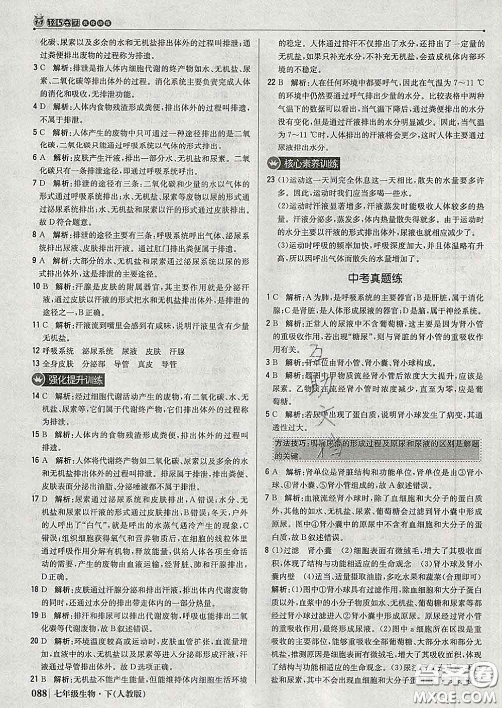 2020新版1加1輕巧奪冠優(yōu)化訓(xùn)練七年級生物下冊人教版答案