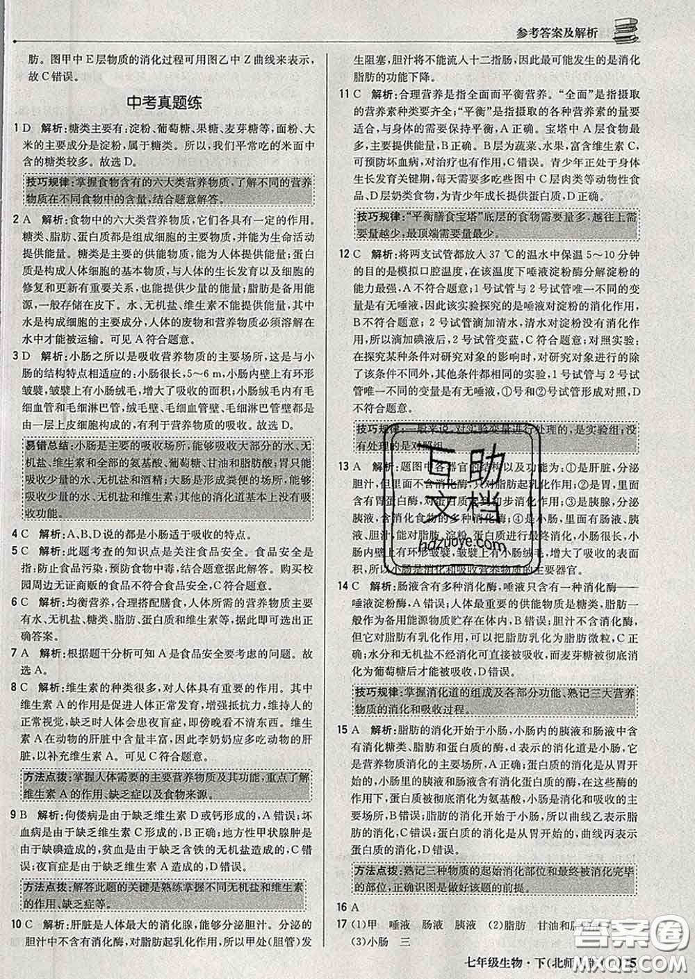 2020新版1加1輕巧奪冠優(yōu)化訓(xùn)練七年級(jí)生物下冊(cè)北師版答案