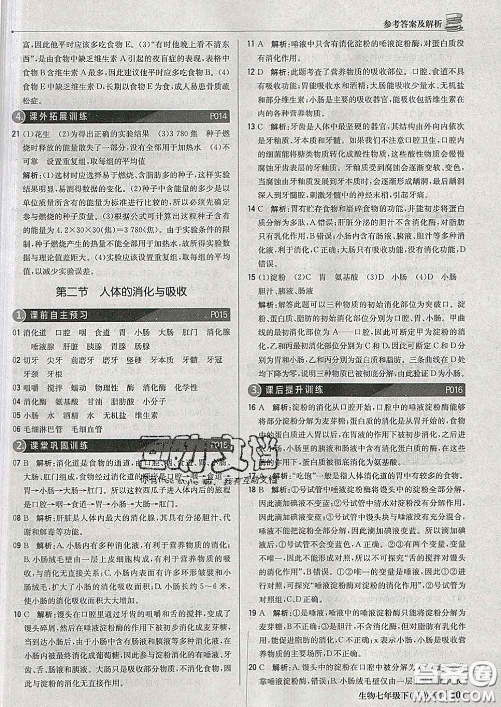 2020新版1加1輕巧奪冠優(yōu)化訓練七年級生物下冊江蘇版答案