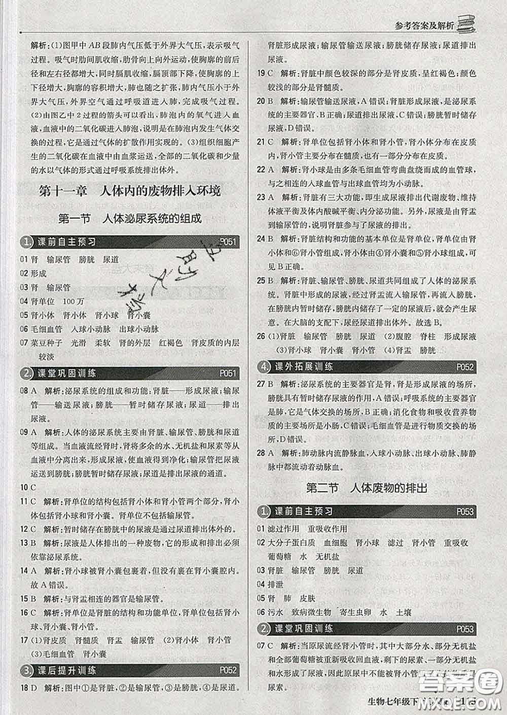 2020新版1加1輕巧奪冠優(yōu)化訓練七年級生物下冊江蘇版答案