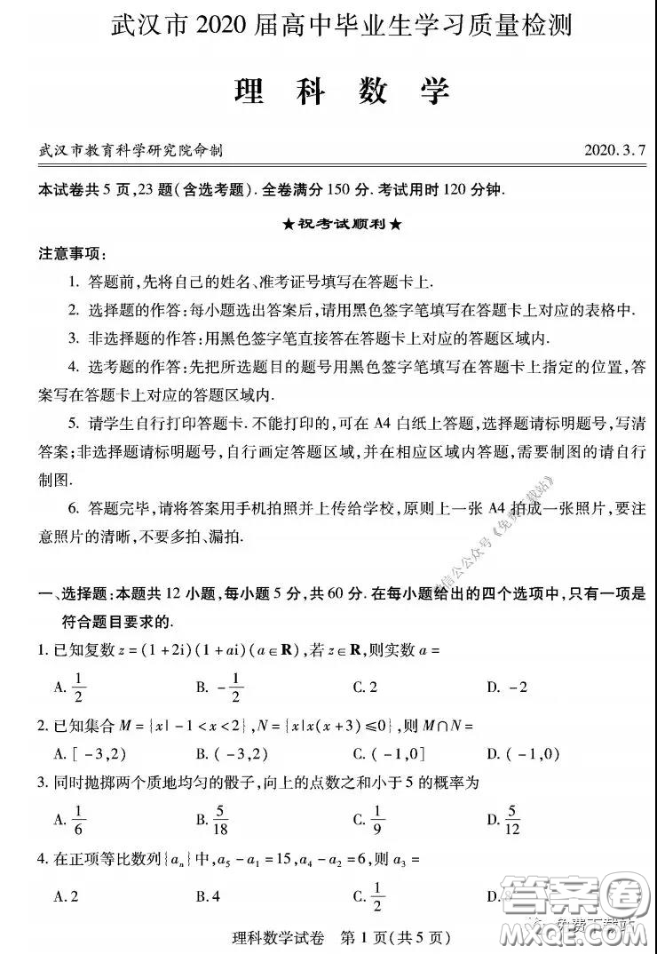 武漢市2020屆3月高中畢業(yè)班學(xué)習(xí)質(zhì)量檢測理科數(shù)學(xué)試題及答案