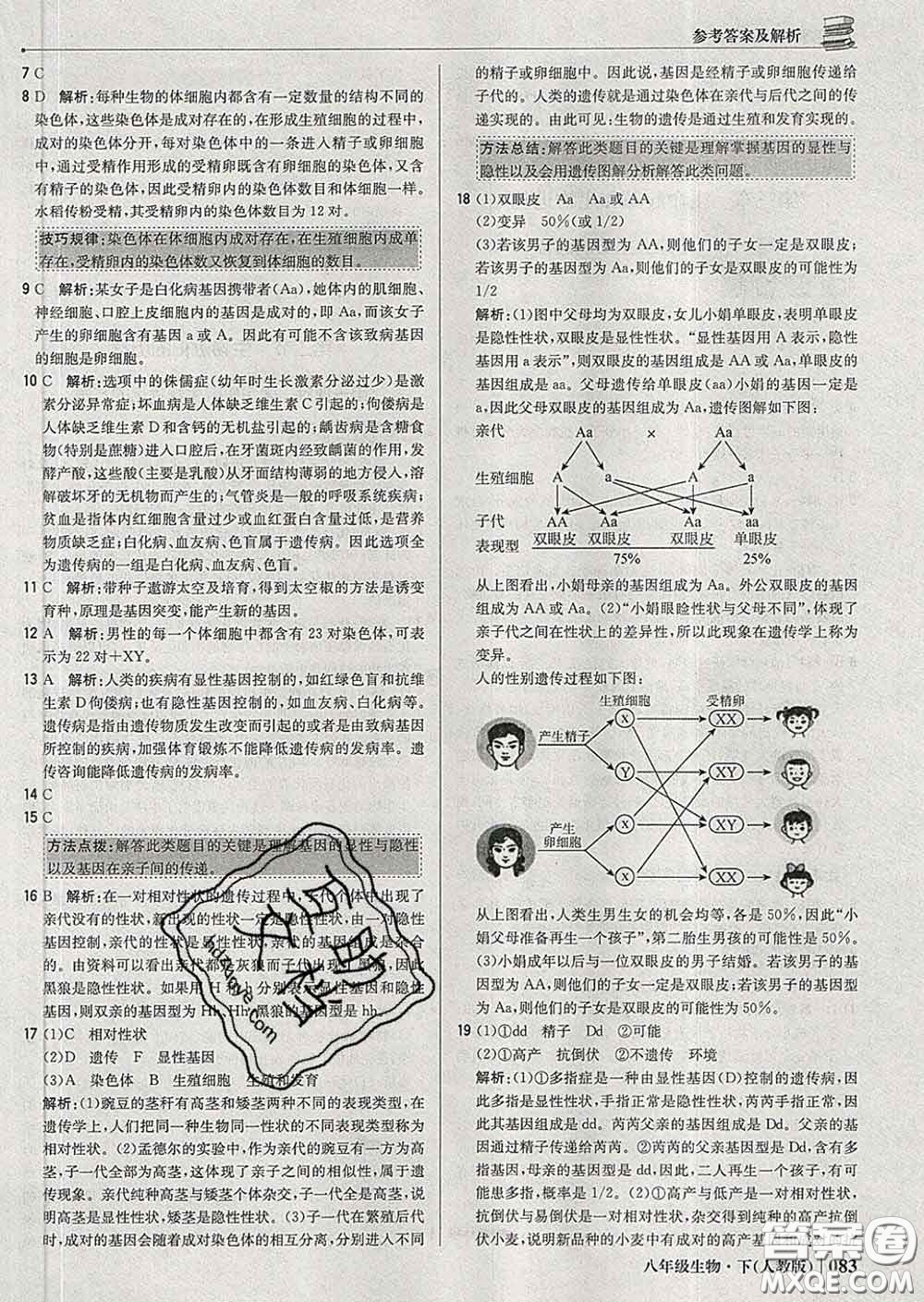 2020新版1加1輕巧奪冠優(yōu)化訓(xùn)練八年級(jí)生物下冊(cè)人教版答案