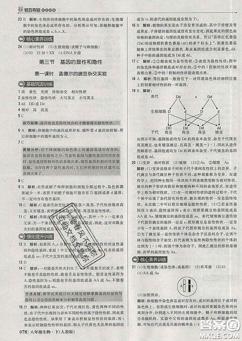 2020新版1加1輕巧奪冠優(yōu)化訓(xùn)練八年級(jí)生物下冊(cè)人教版答案