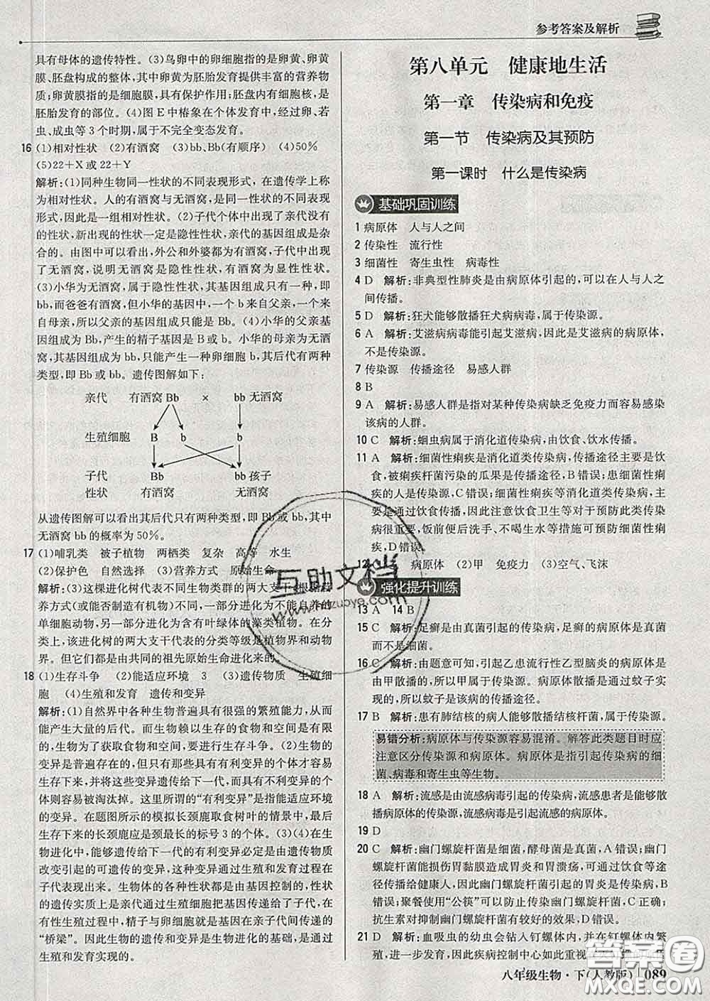 2020新版1加1輕巧奪冠優(yōu)化訓(xùn)練八年級(jí)生物下冊(cè)人教版答案