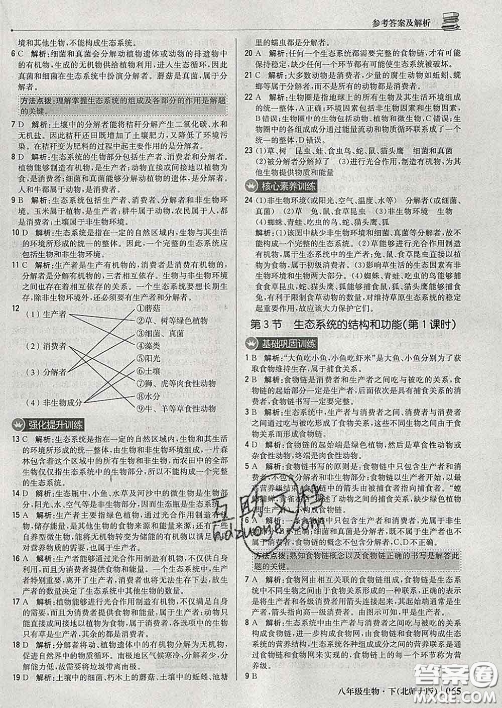 2020新版1加1輕巧奪冠優(yōu)化訓(xùn)練八年級生物下冊北師版答案