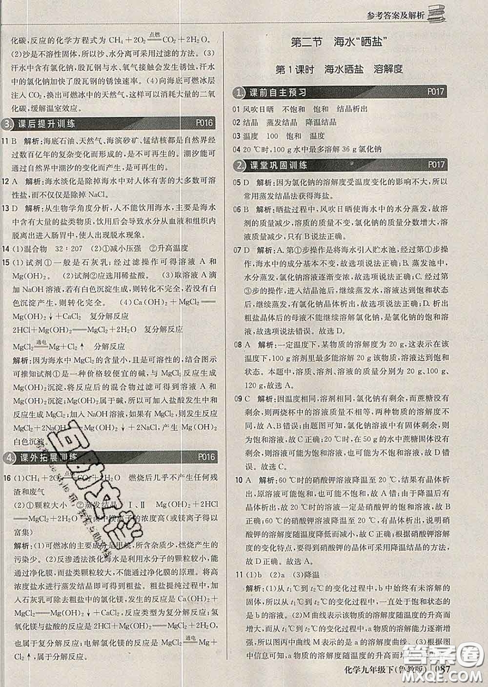 2020新版1加1輕巧奪冠優(yōu)化訓練九年級化學下冊魯教版答案