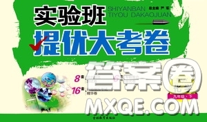 2020年實(shí)驗(yàn)班提優(yōu)大考卷化學(xué)九年級(jí)下冊(cè)SHJY蘇滬教育版參考答案