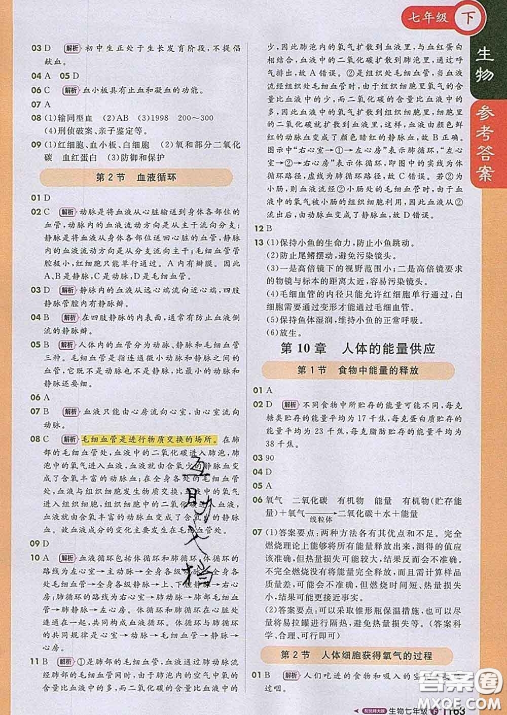 1加1輕巧奪冠課堂直播2020新版七年級生物下冊北師版答案