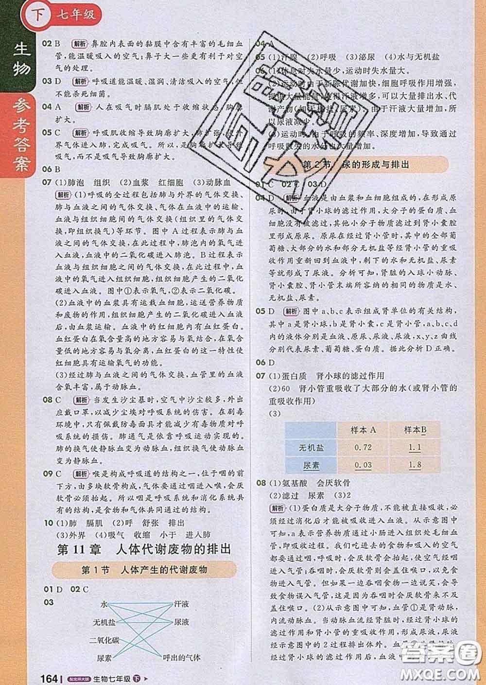 1加1輕巧奪冠課堂直播2020新版七年級生物下冊北師版答案