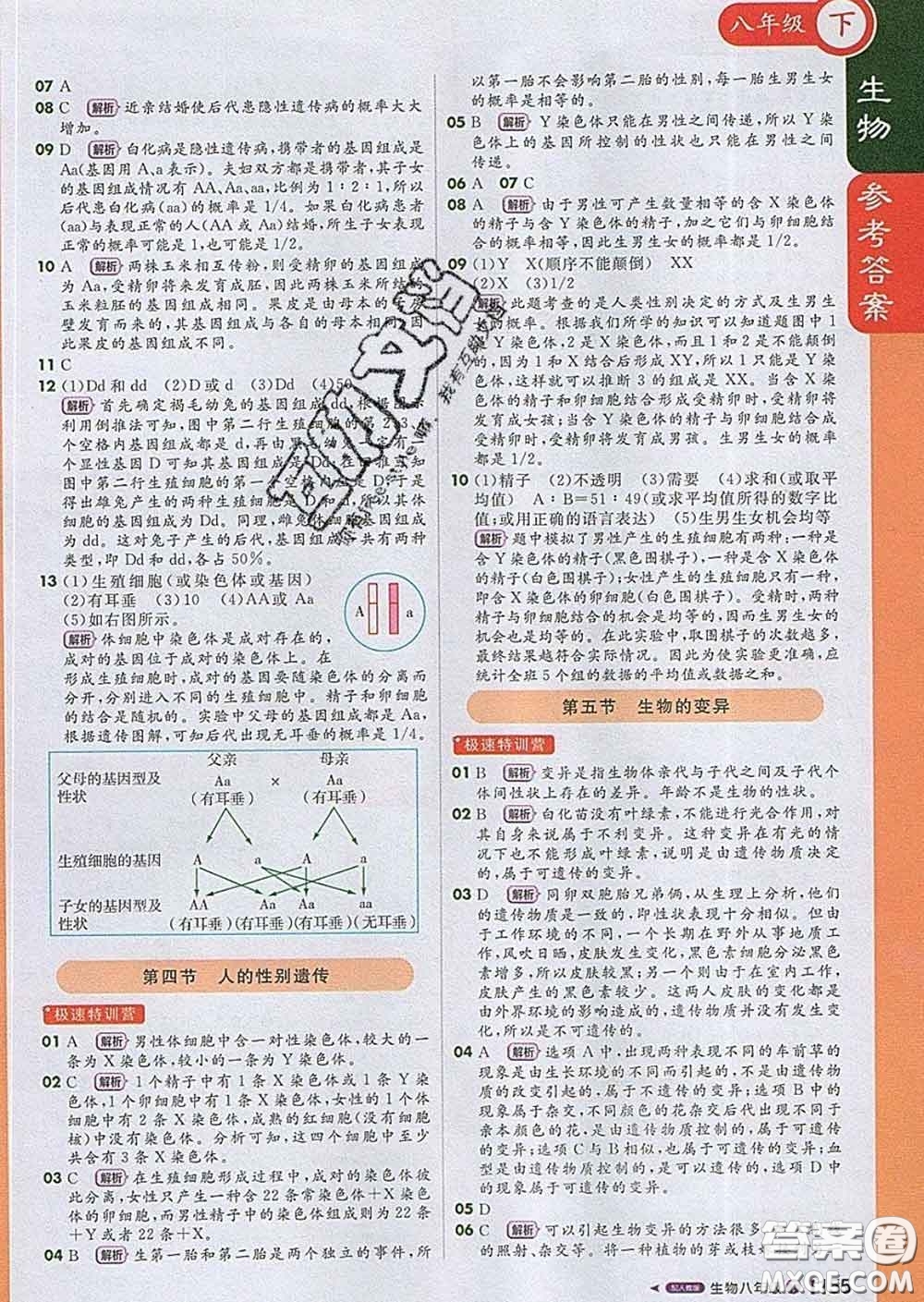 1加1輕巧奪冠課堂直播2020新版八年級(jí)生物下冊(cè)人教版答案