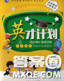 2020年英才計(jì)劃同步課時高效訓(xùn)練五年級數(shù)學(xué)下冊人教版答案