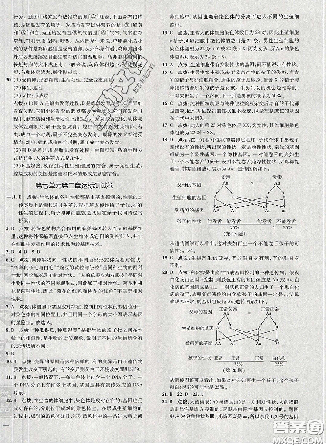 2020榮德基點(diǎn)撥訓(xùn)練八年級(jí)生物下冊(cè)人教版答案