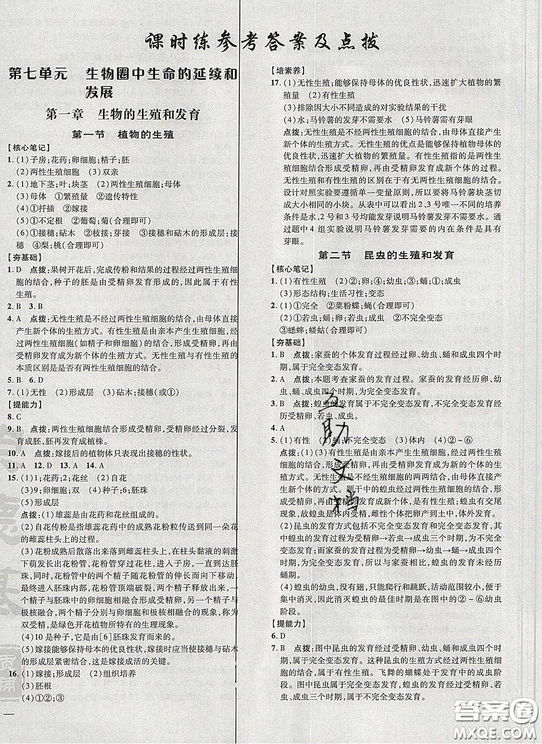 2020榮德基點(diǎn)撥訓(xùn)練八年級(jí)生物下冊(cè)人教版答案