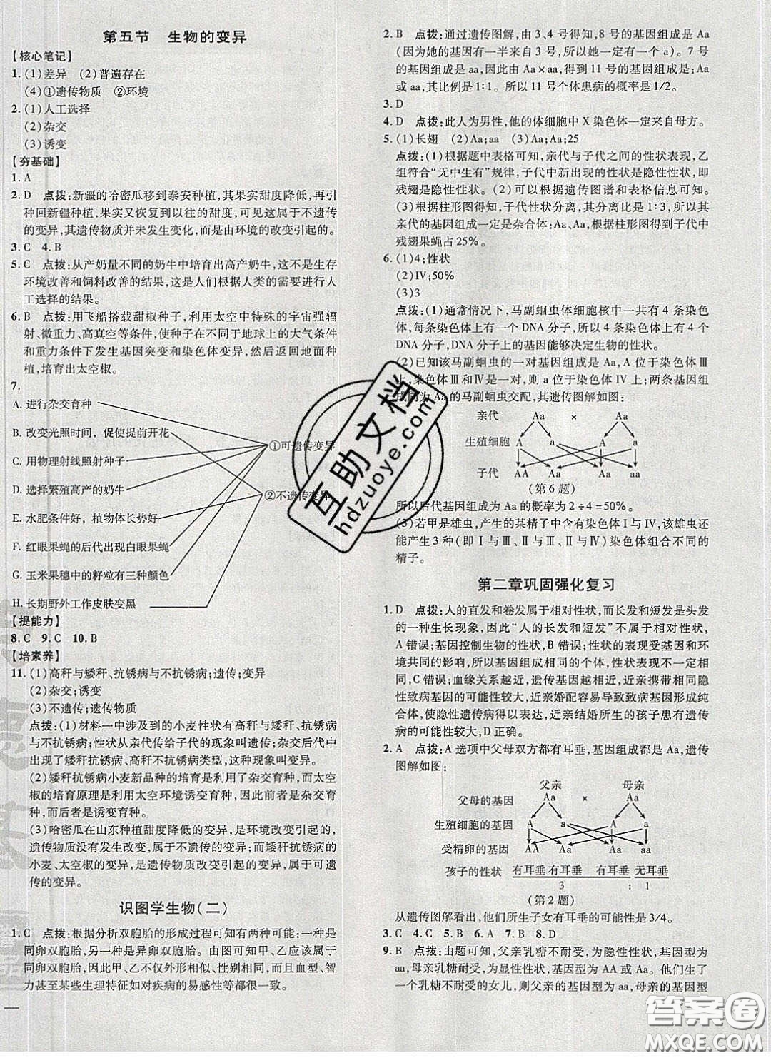 2020榮德基點(diǎn)撥訓(xùn)練八年級(jí)生物下冊(cè)人教版答案