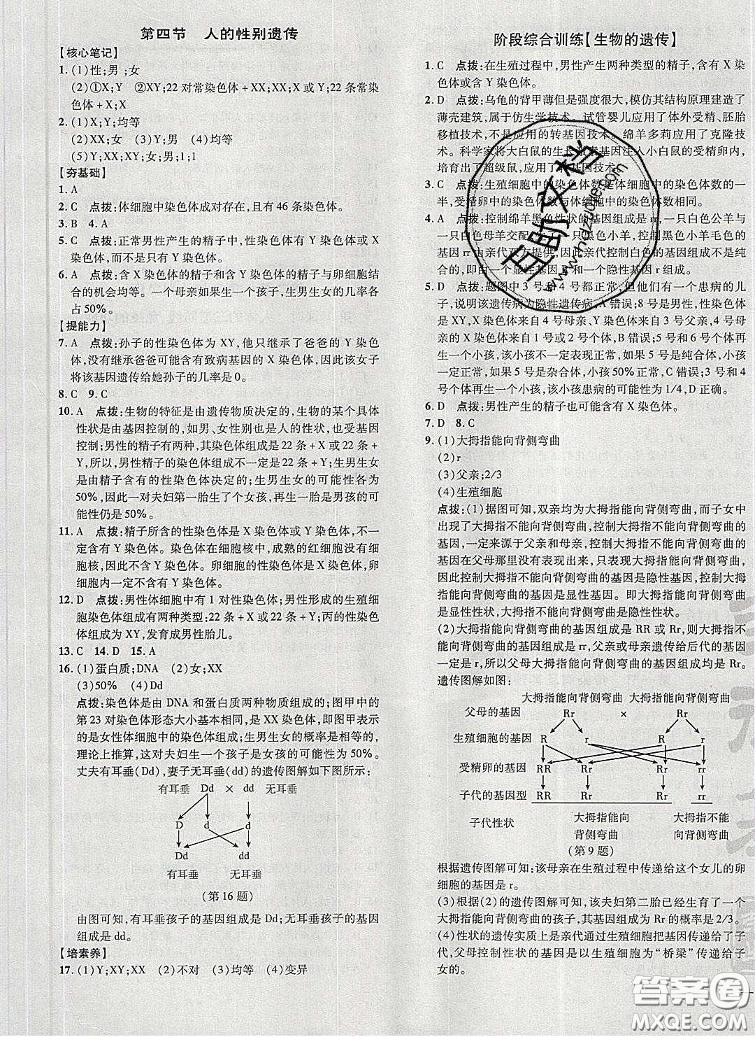 2020榮德基點(diǎn)撥訓(xùn)練八年級(jí)生物下冊(cè)人教版答案