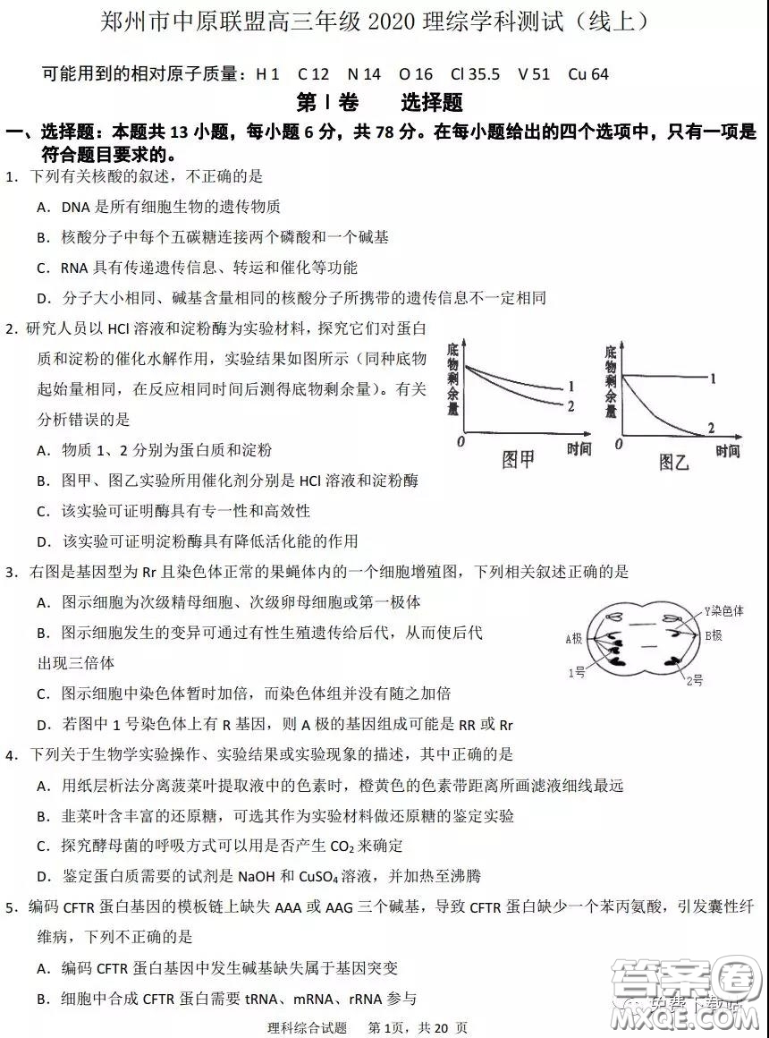 鄭州市中原聯(lián)盟高三年級2020理綜線上測試試題及答案