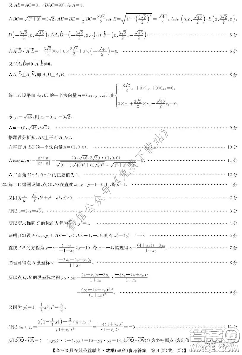 2020年九師聯(lián)盟3月在線公益聯(lián)考理科數(shù)學(xué)試題及答案