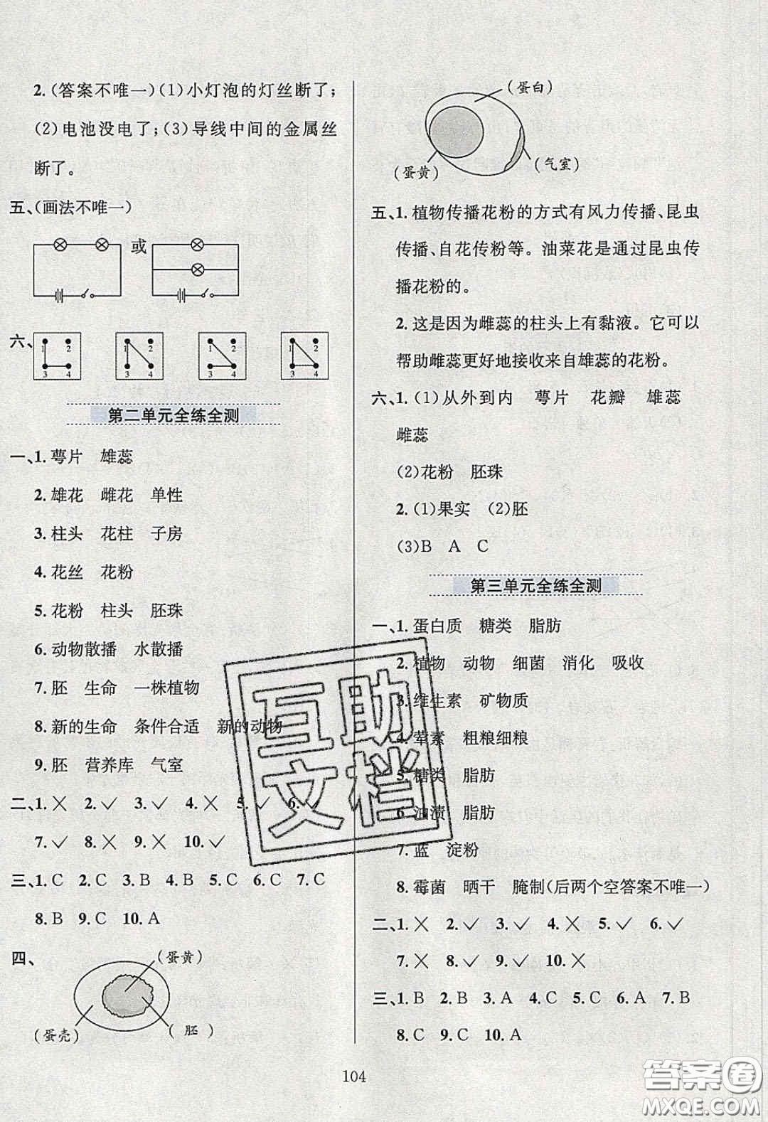 2020年小學(xué)教材全練四年級科學(xué)下冊教科版答案