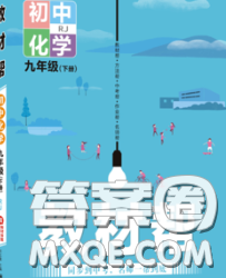 2020新版天星教育教材幫初中化學(xué)九年級(jí)下冊(cè)滬教版答案