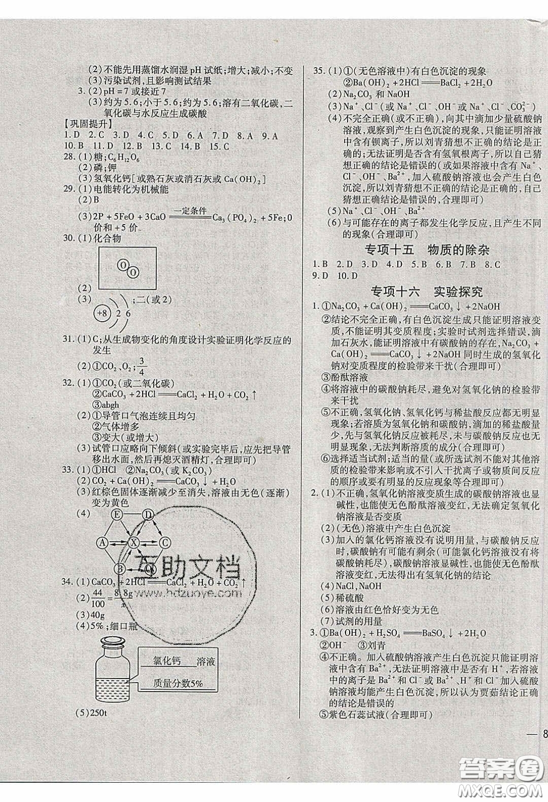 2020年全練中考總復習化學哈爾濱市專版答案