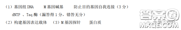 華中師大一附中2020屆高三3月測(cè)試?yán)砜凭C合試題及答案