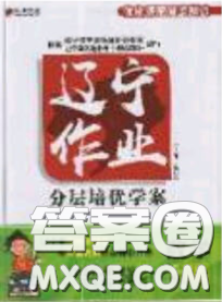 2020年遼寧作業(yè)分層培優(yōu)學(xué)案九年級(jí)數(shù)學(xué)下冊(cè)北師大版答案