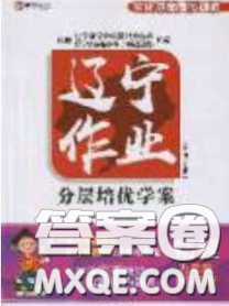 2020年遼寧作業(yè)分層培優(yōu)學(xué)案九年級(jí)物理下冊(cè)北師大版答案