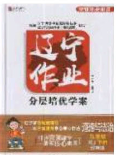 2020年遼寧作業(yè)分層培優(yōu)學(xué)案九年級道德與法治下冊人教版答案